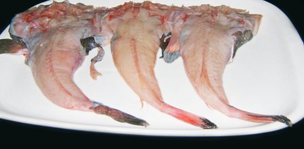 Receta de fricandó de pescado