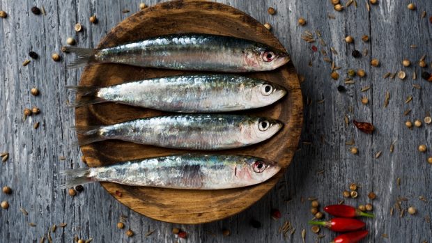 Receta de sardinas gratinadas al horno