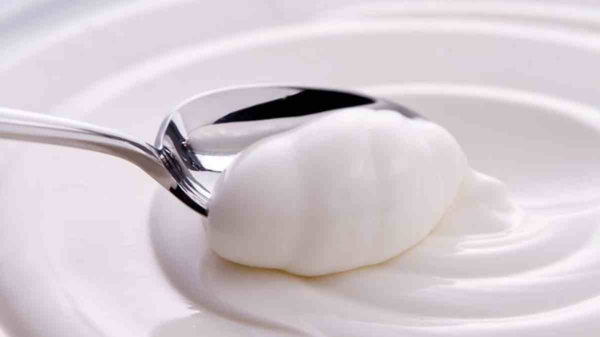 Receta casera de yogur griego 4