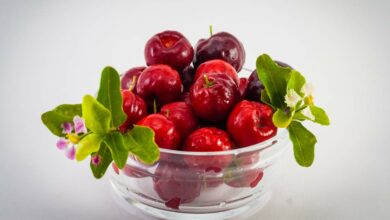 Recetas para cocinar con acerola, la fruta más sana 10