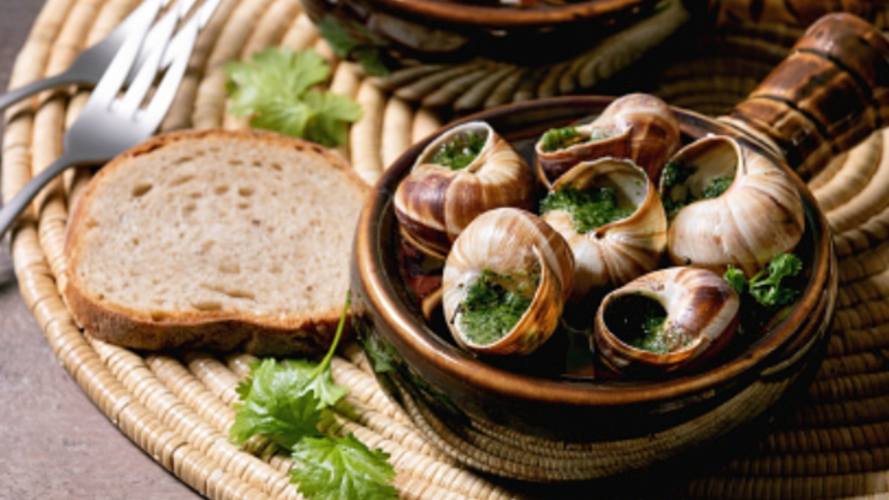 5 recetas de caracoles para descubrir los sabores más tradicionales 5