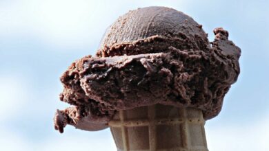 Helado de doble chocolate 11