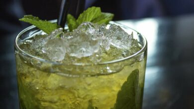 Receta Mojito 11