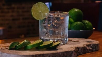 Tomarse un Gin Tonic sin alcohol es posible y te contamos cómo 11