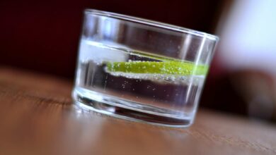 Las mejores y más baratas ginebras para hacer un Gin Tonic en el Día Mundial del Gin Tonic 12