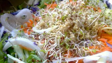 Ensalada de alfalfa con frutos secos 8