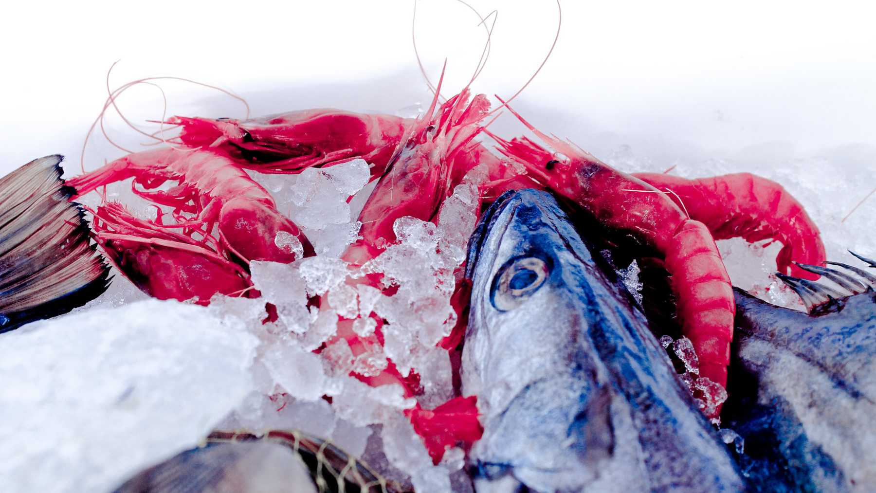 El truco definitivo para que el pescado congelado sepa como si fuera fresco 4