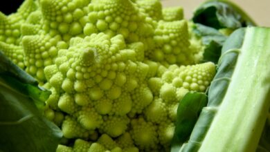 Romanescu con salsa de nata y cúrcuma 3