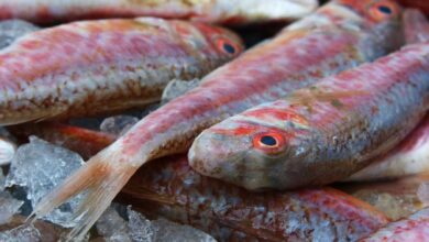 Receta de salmonetes al microondas 4