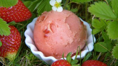 Helado de yogur con trozos de fruta veraniega 7