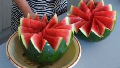 Sandía rellena de fruta de verano variada 5