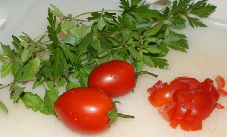 Dos recetas muy fáciles con tomate y orégano 1