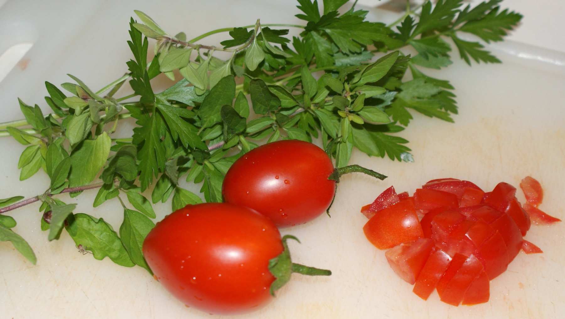 Dos recetas muy fáciles con tomate y orégano 4