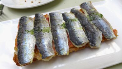 Receta de coca de sardinas 1