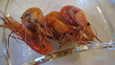 Gambas al achiote 7