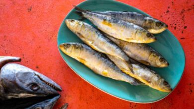 El trucazo casero de este famosísimo cocinero para evitar que las sardinas huelan 21