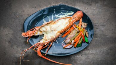 Langosta al champán con puré de patatas 10