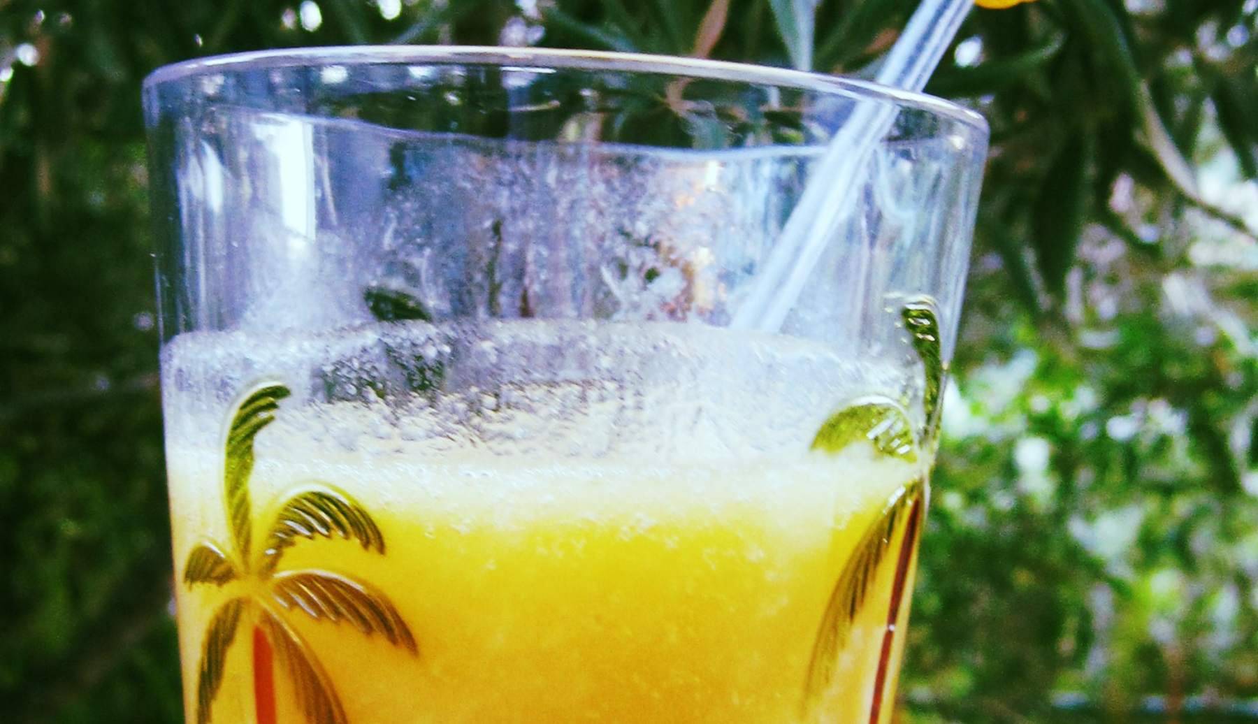 Sangría refrescante de nectarina, cítricos y vino blanco dulce 4