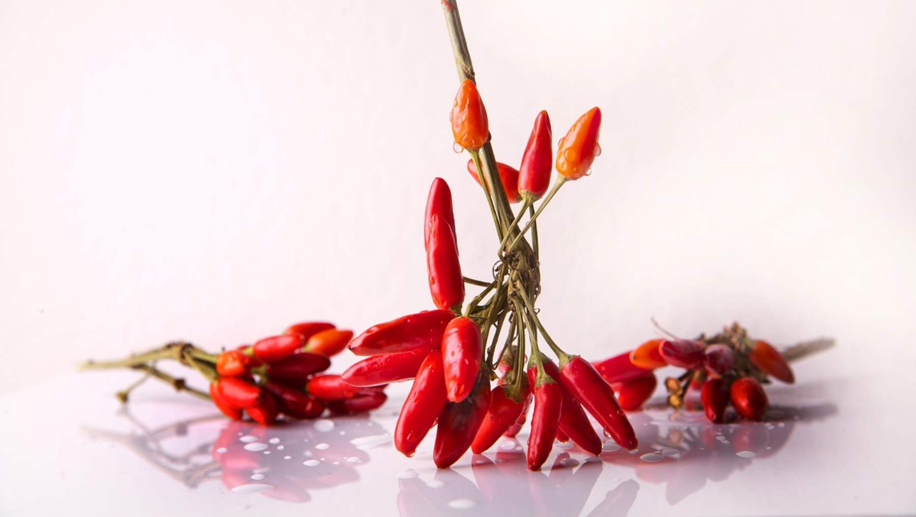 Receta de chiles caribe 4