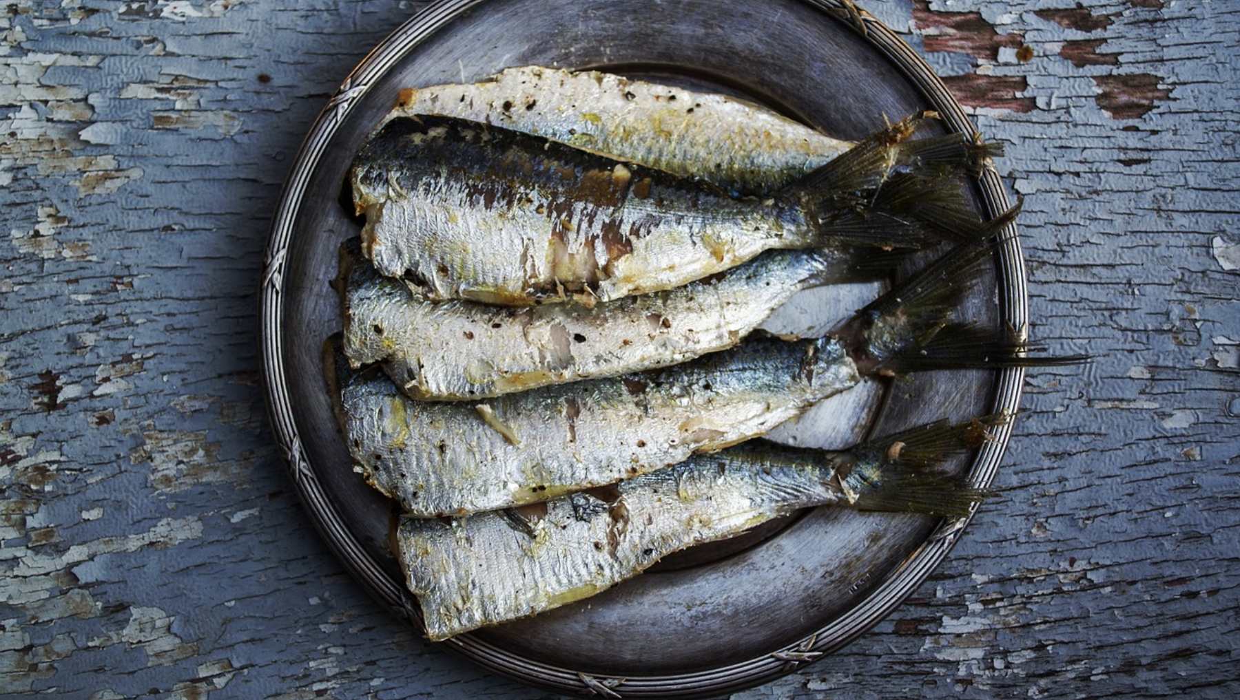 Sardinas a la plancha con alioli de azafrán 4