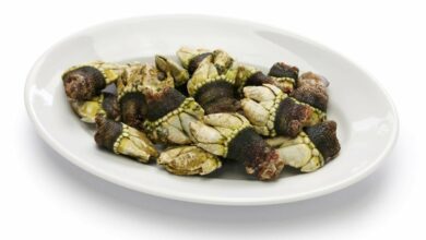 Cómo cocer percebes paso a paso 2