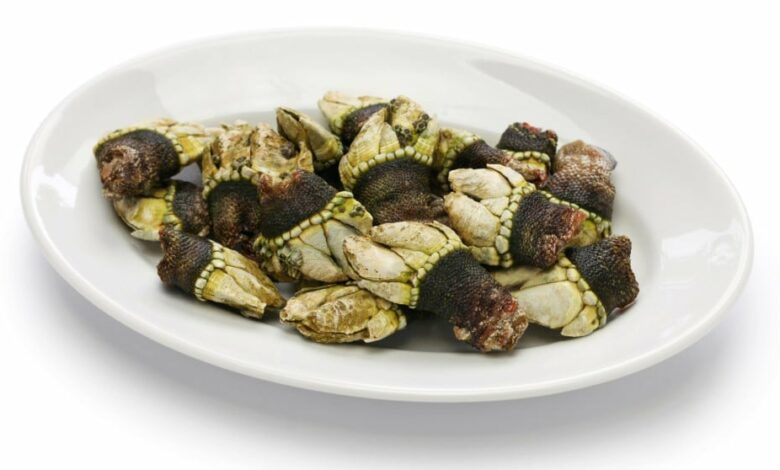 Cómo cocer percebes paso a paso 1