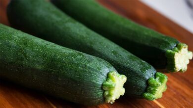 Descubre 10 recetas irresistibles con zucchini 4