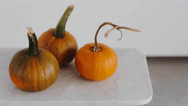 calabazas