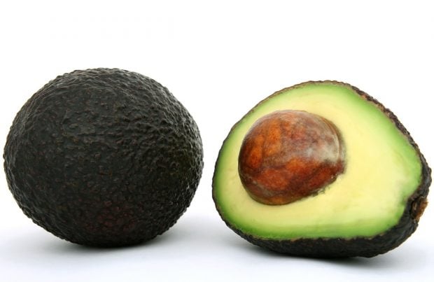 Palta