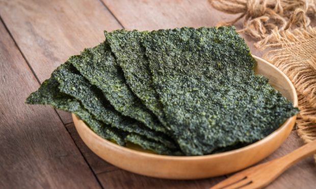 Alga nori